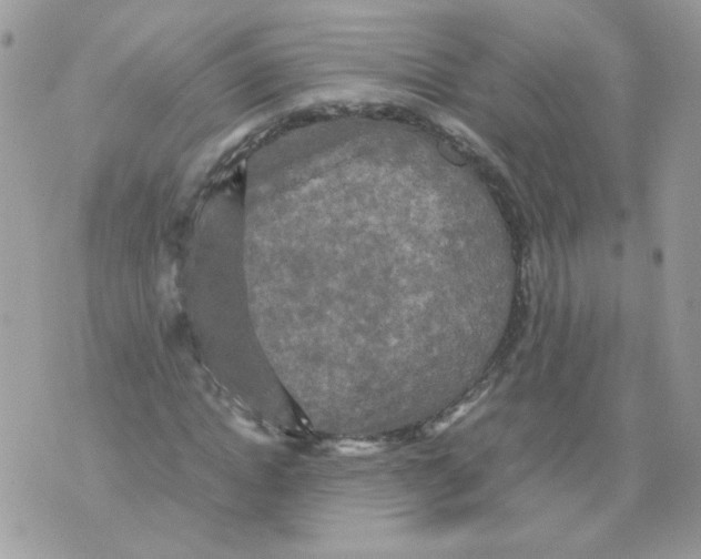 X0000070350822200607072036