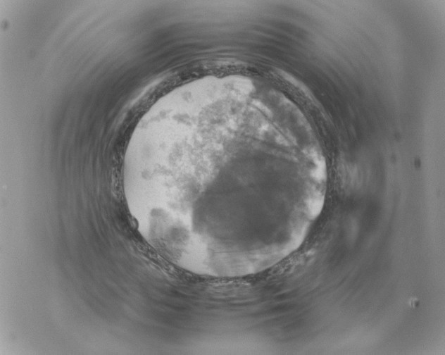 X0000070350823200607072036