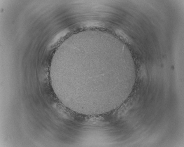 X0000070350824200607072036