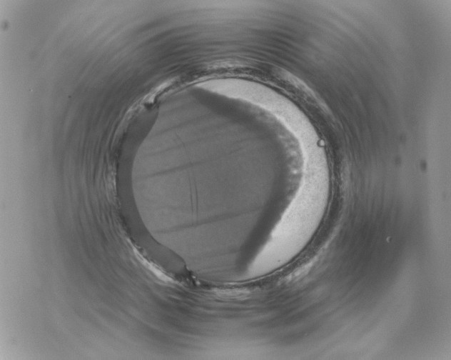 X0000070350825200607072036