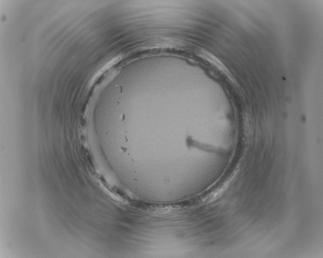 X0000070350826200607072036