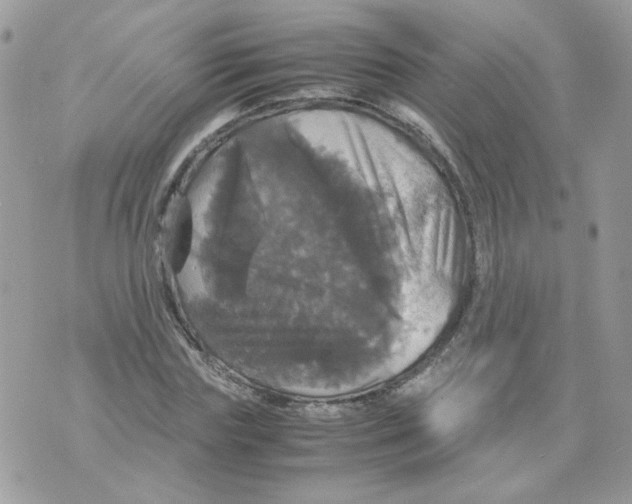 X0000070350827200607072036