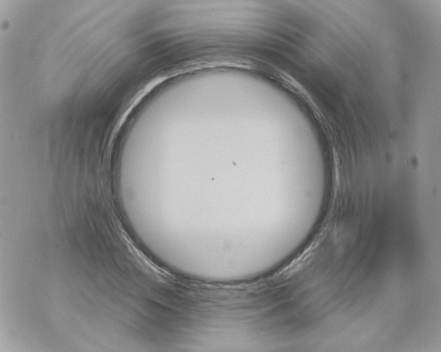 X0000070350828200607072036