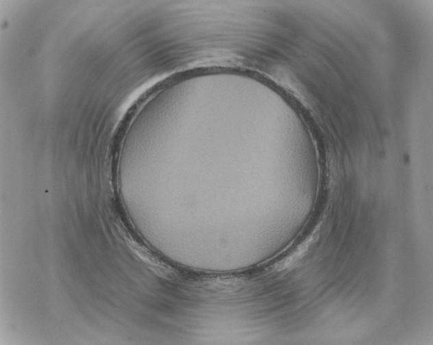 X0000070350830200607072036