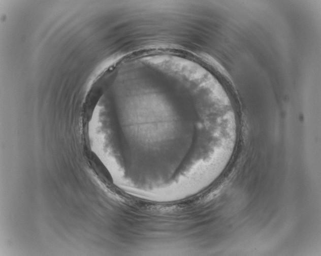 X0000070350831200607072036