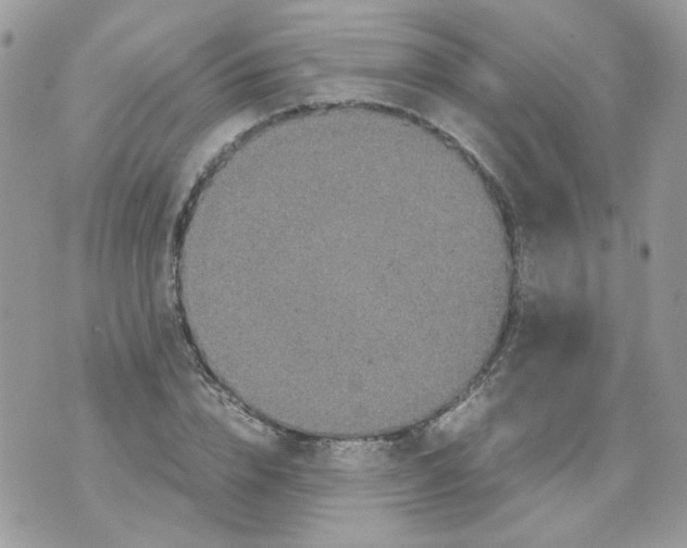 X0000070350832200607072036