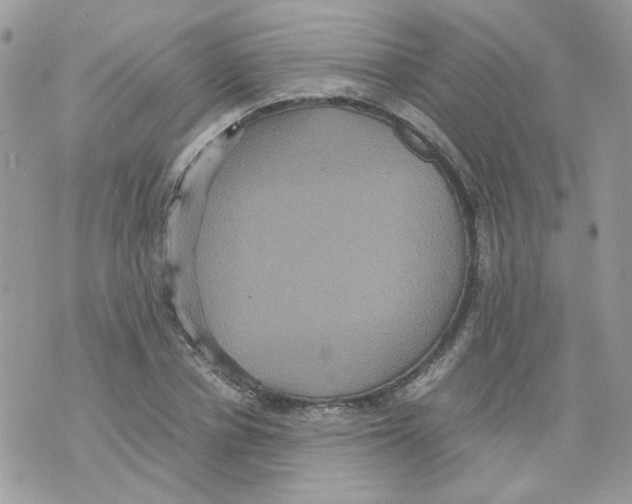 X0000070350834200607072036