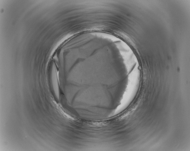 X0000070350835200607072036