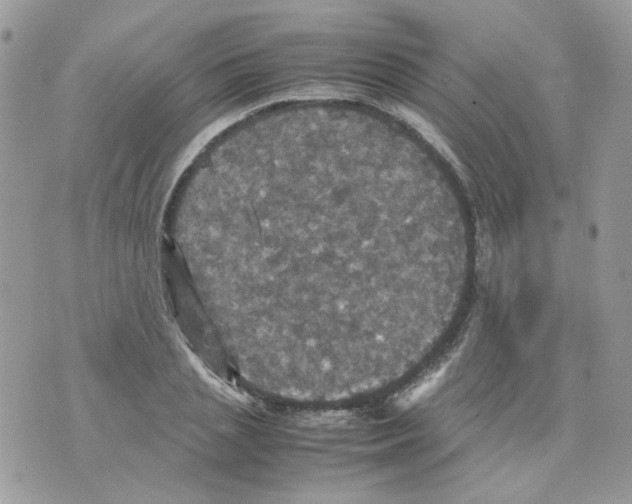 X0000070350837200607072036