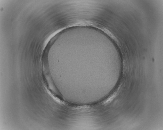 X0000070350838200607072036