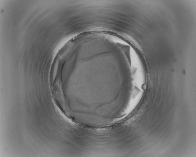 X0000070350839200607072036