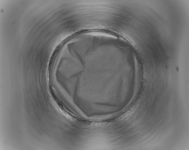 X0000070350840200607072036