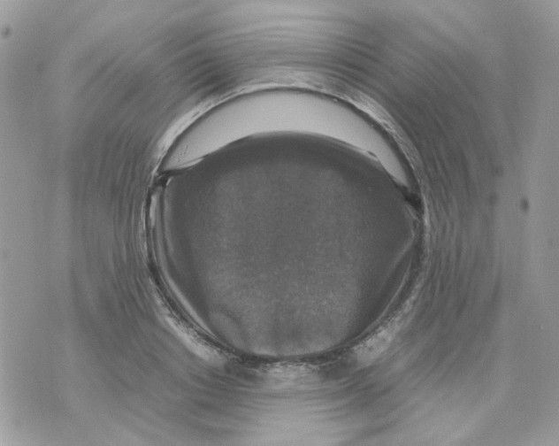 X0000070350842200607072036