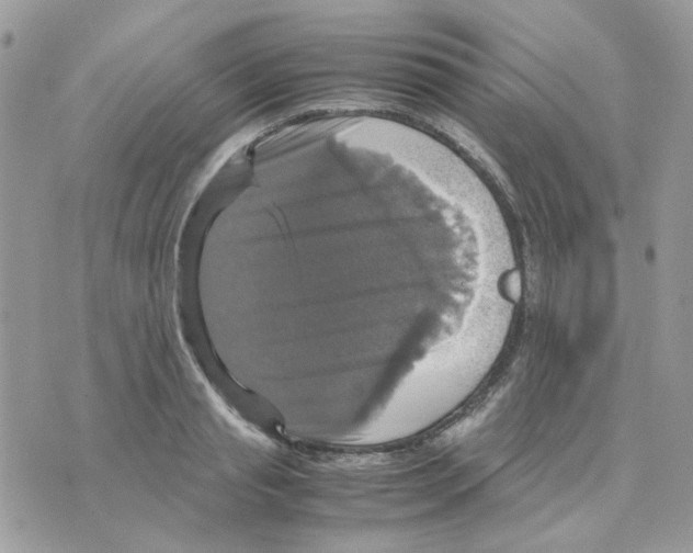 X0000070350845200607072036