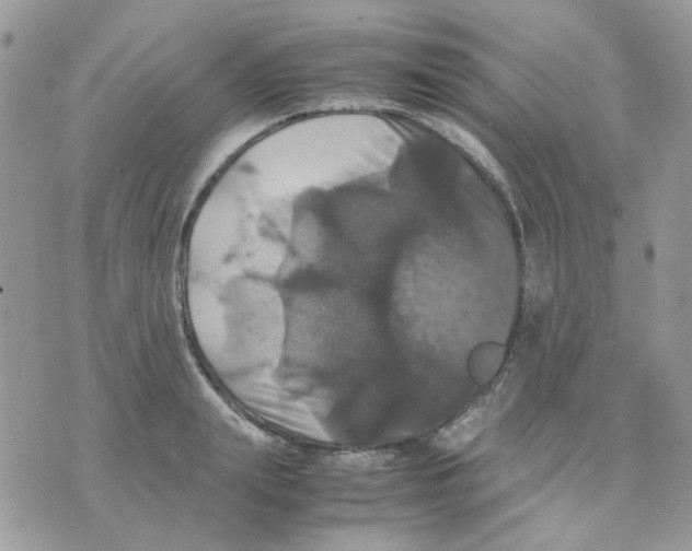 X0000070350847200607072036