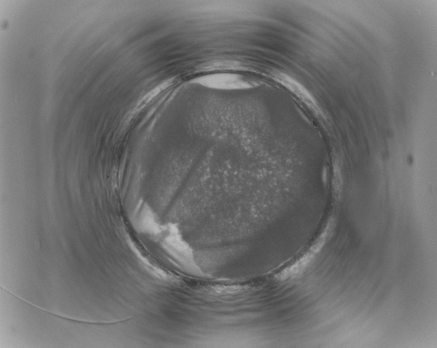 X0000070350849200607072036