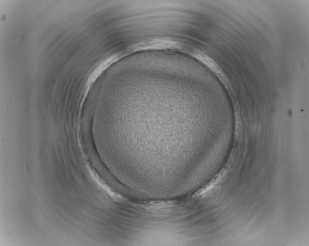 X0000070350850200607072036