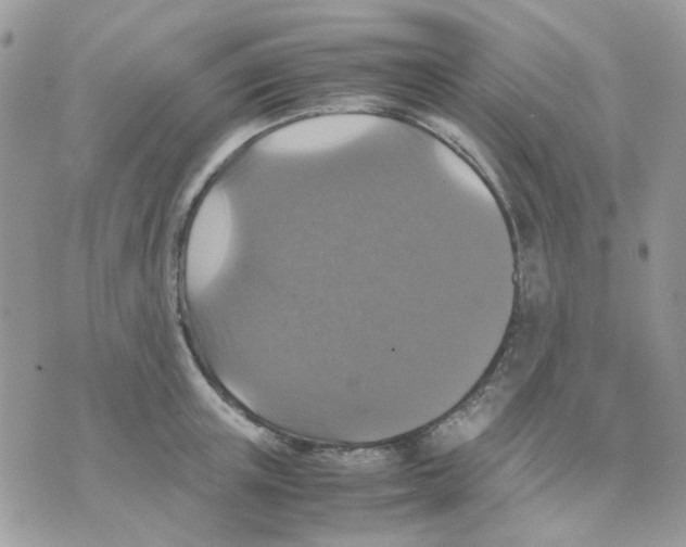 X0000070350851200607072036