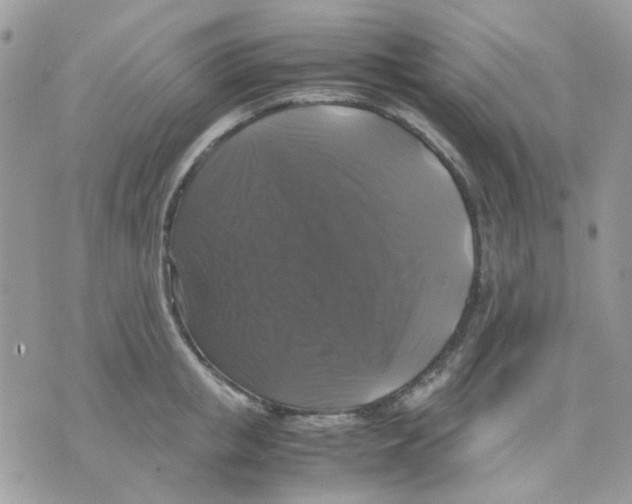 X0000070350853200607072036