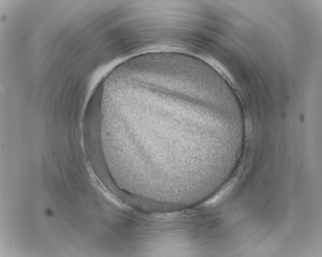 X0000070350854200607072036