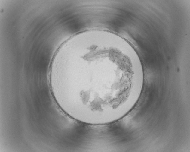 X0000070350856200607072036