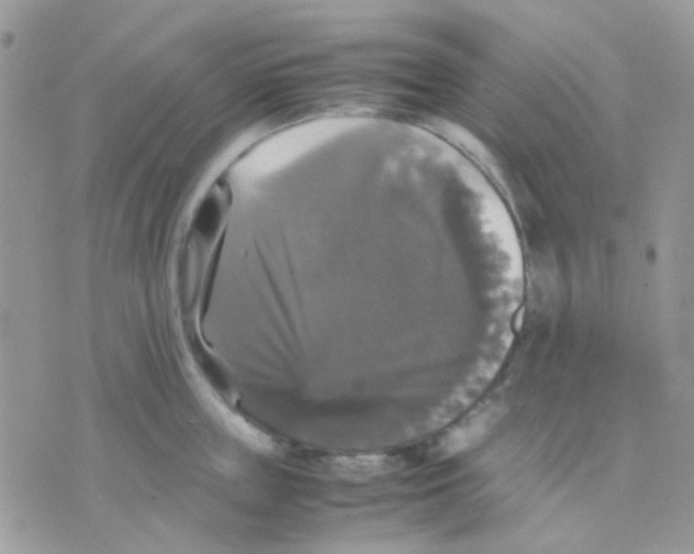 X0000070350859200607072036