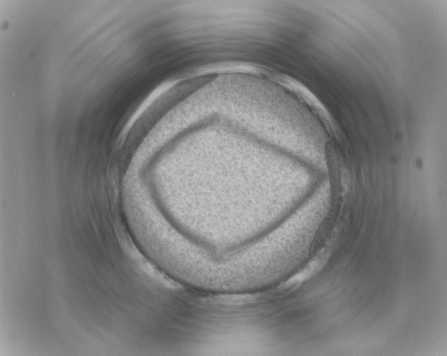 X0000070350860200607072036