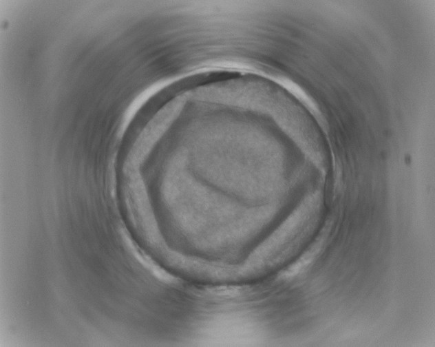 X0000070350862200607072036