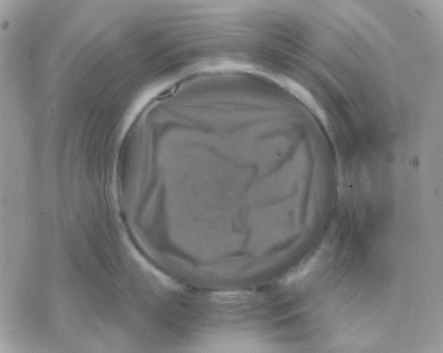 X0000070350863200607072036