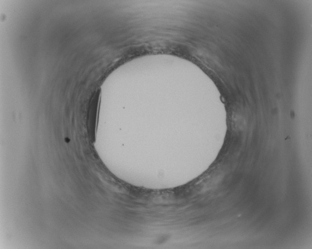 X0000070350865200607072036