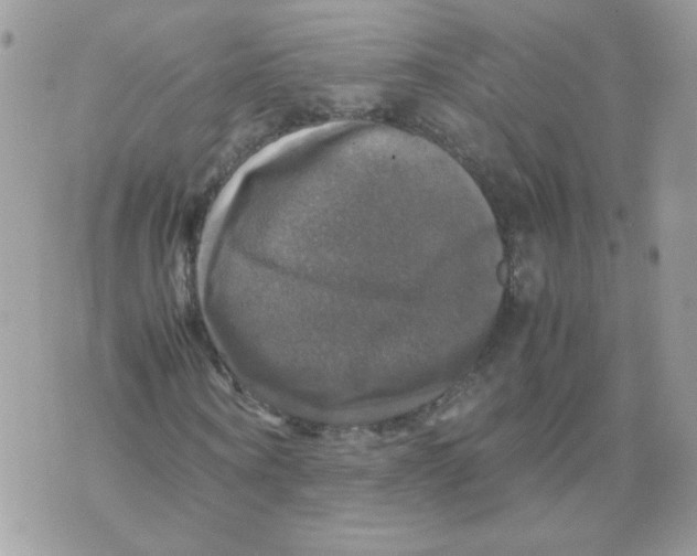 X0000070350866200607072036