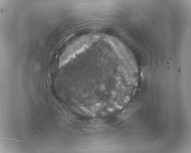 X0000070350867200607072036