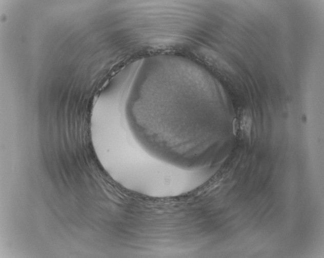 X0000070350868200607072036