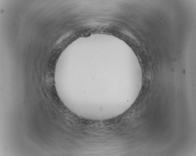 X0000070350869200607072036