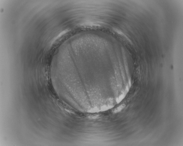 X0000070350870200607072036