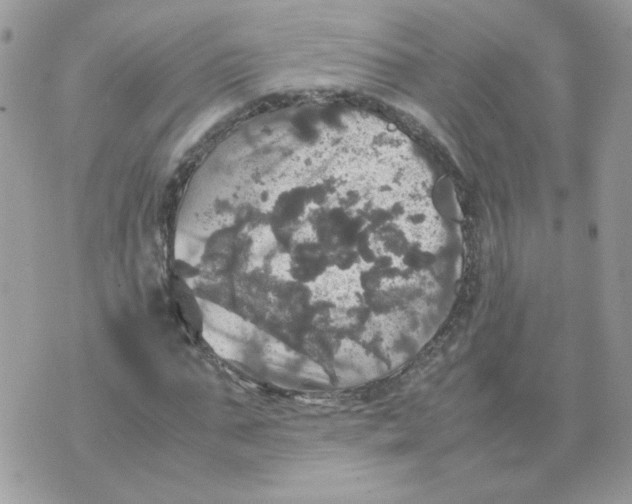 X0000070350871200607072036