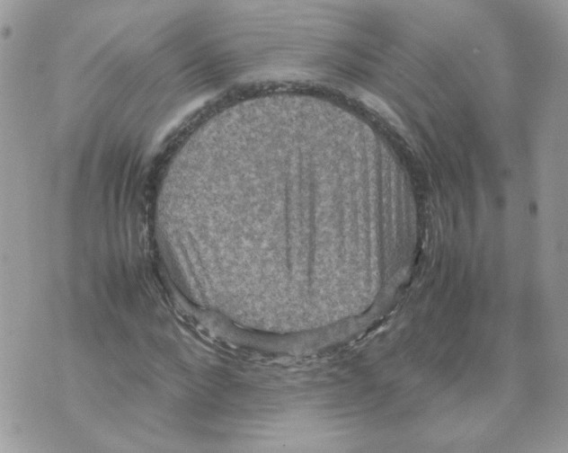 X0000070350872200607072036