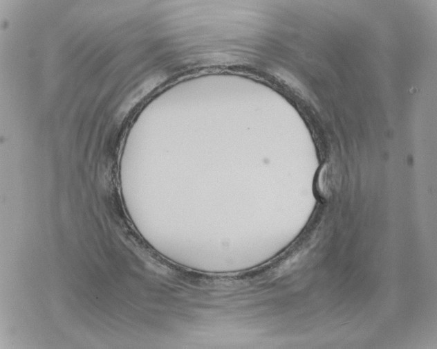 X0000070350873200607072036