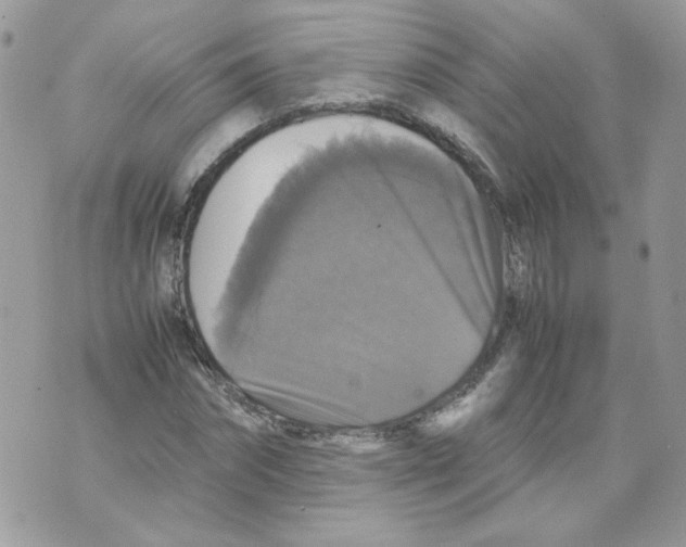 X0000070350874200607072036