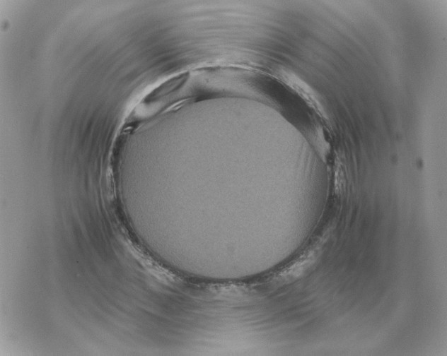 X0000070350876200607072035