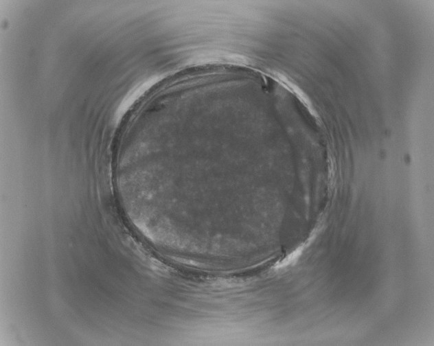 X0000070350877200607072035