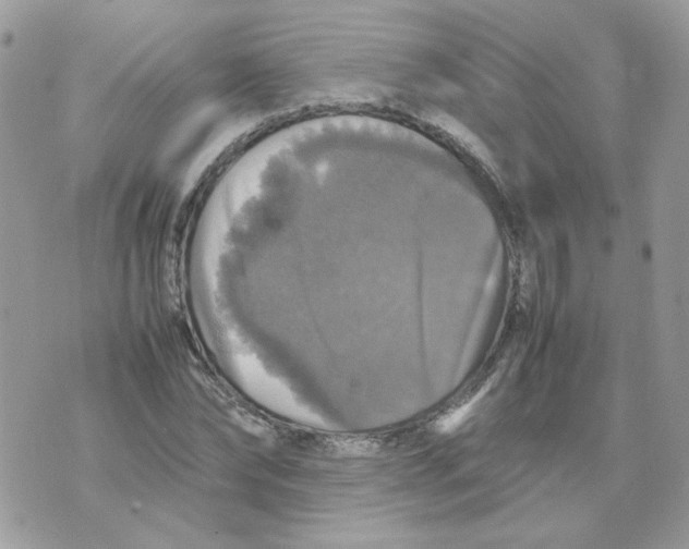 X0000070350878200607072035