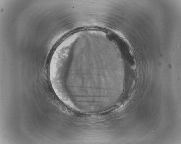 X0000070350879200607072035