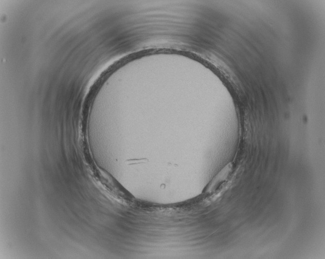 X0000070350880200607072035