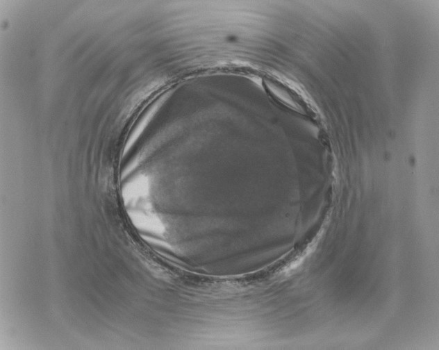 X0000070350881200607072035