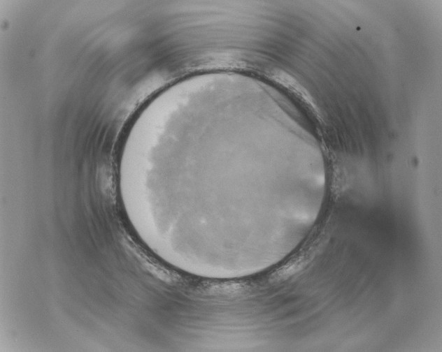 X0000070350882200607072035