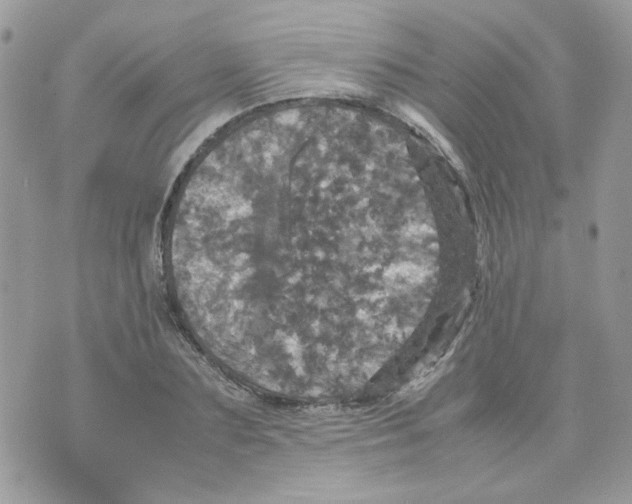 X0000070350883200607072035