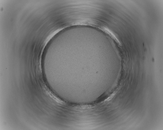 X0000070350884200607072035