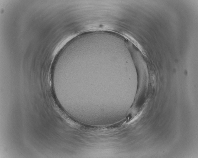 X0000070350885200607072035