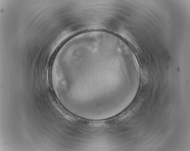 X0000070350886200607072035